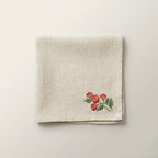 Meadow Spring Embroidered Placemat & Napkin Set